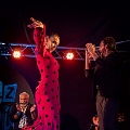 flamenco (85)